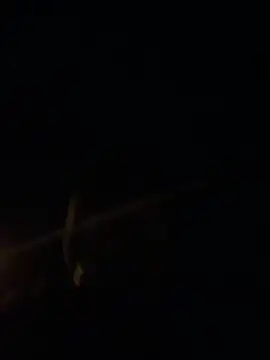 big cock is back online show from 03-01-26, 07:25