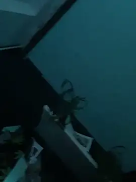 big cock is back online show from 12-29-24, 01:56