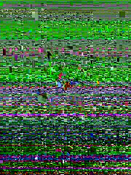 Snapshot of saltytuggah chatting on 10-25-25, 10:36 saltytuggah online show from 10-25-25, 10:36