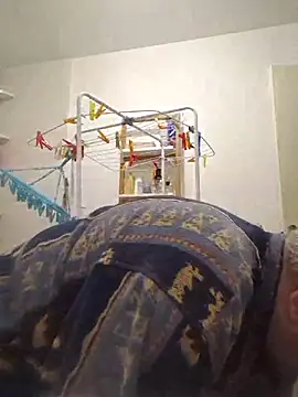 Bretoncool online show from 11-15-25, 01:26