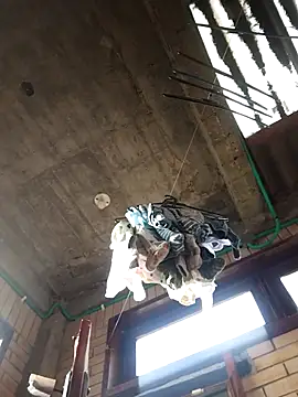 Snapshot of gigolopez1 chatting on 02-15-26, 12:15 gigolopez1 online show from 02-15-26, 12:15