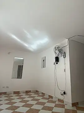 Lyon vach online show from 11-07-25, 07:51