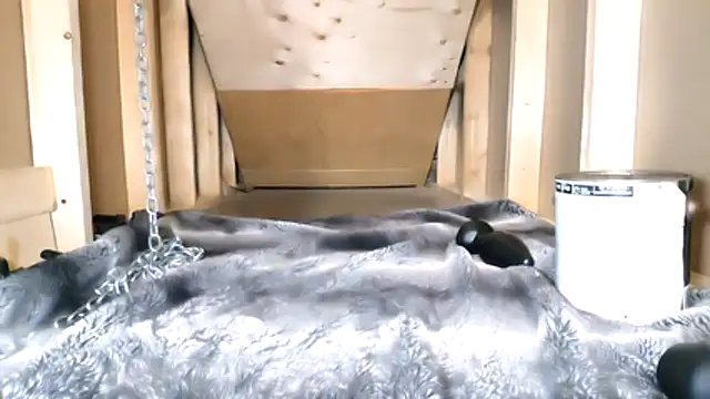 Snapshot of cbtbetaloser chatting on 02-16-26, 05:17 cbtbetaloser online show from 02-16-26, 05:17