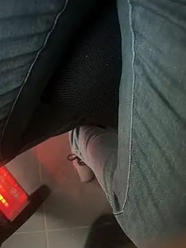 Snapshot of homidor chatting on 01-31-25, 02:39 homidor online show from 01-31-25, 02:39