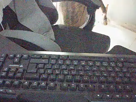 Snapshot of DZ1996 chatting on 11-16-25, 10:31 DZ1996 online show from 11-16-25, 10:31