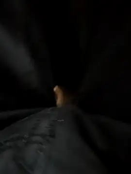 Snapshot of SageElement2 chatting on 02-24-25, 11:54 SageElement2 online show from 02-24-25, 11:54