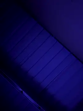 Snapshot of danielll2024 chatting on 02-15-26, 11:20 danielll2024 online show from 02-15-26, 11:20