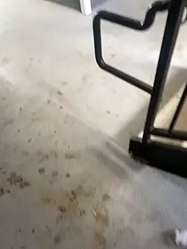 zeekBbc online show from 02-26-26, 09:26