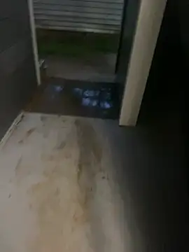 zeekBbc online show from 04-05-26, 12:39