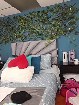 Grey Lorenz11 online show from 02-26-26, 09:31