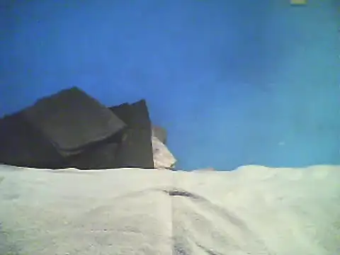 Vago745 online show from 12-02-24, 10:46