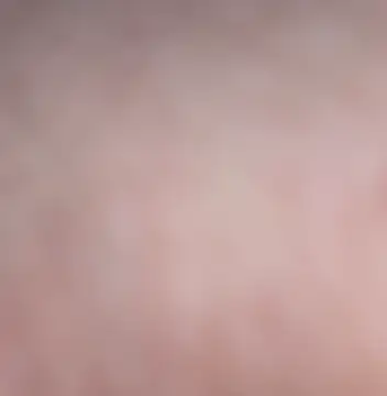 vanscr1 online show from 11-24-25, 08:20