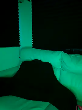 Snapshot of butterflybootyy chatting on 09-18-25, 06:05 butterflybootyy online show from 09-18-25, 06:05