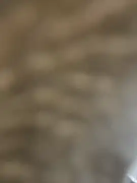 Snapshot of BhadBhad_Kitty chatting on 02-14-25, 06:45 BhadBhad Kitty online show from 02-14-25, 06:45