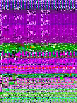 4n4l1zz4m1 online show from 11-11-25, 01:50