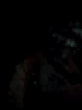 lit702 online show from 04-06-26, 08:54