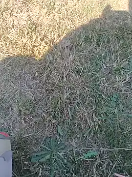 Gururonny07 online show from 02-12-25, 07:44