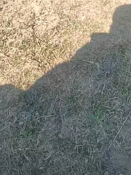 Gururonny07 online show from 02-13-25, 07:24