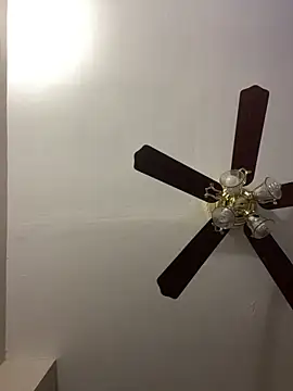 islandvybee55 online show from 04-15-26, 11:59