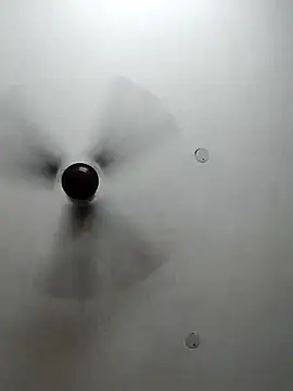 cutiecatty21 online show from 10-23-25, 10:36