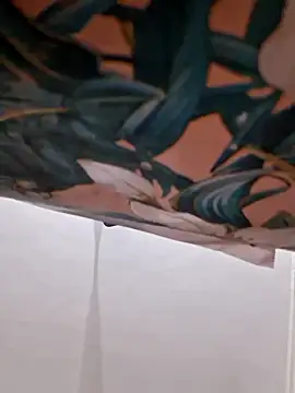 cutiecatty21 online show from 01-16-26, 05:39