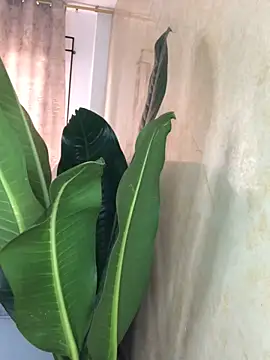 EmmaRossem online show from 03-31-26, 07:38