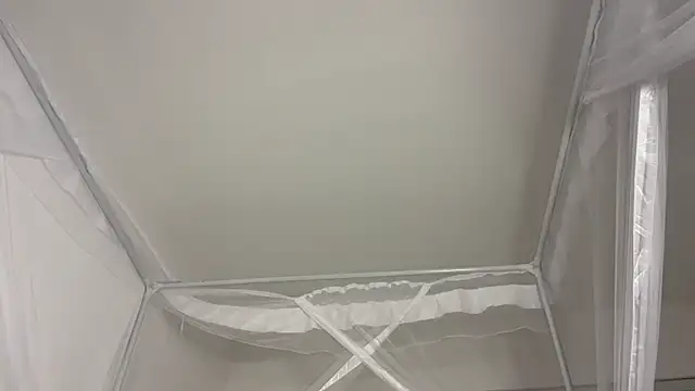 shandiloveslemonss online show from 12-20-25, 08:06