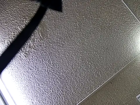 yajahil online show from 11-28-25, 07:36