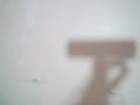 Indian sunshine online show from 11-25-25, 05:19