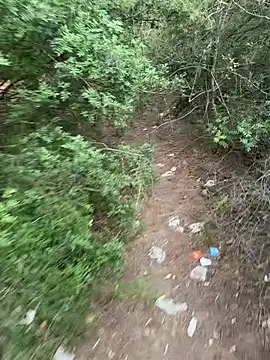 lavidadebry   online show from 09-08-25, 03:00