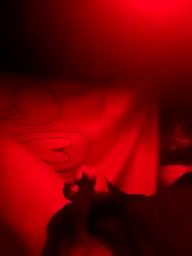 rayhot69 online show from 12-23-24, 03:50