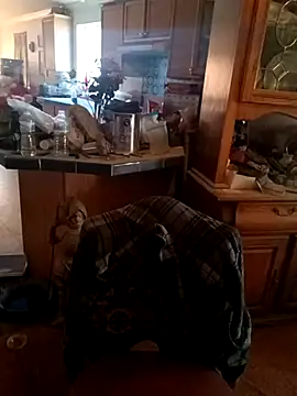 wilsons12 online show from 11-28-25, 08:09