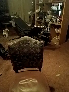 wilsons12 online show from 02-14-26, 11:10