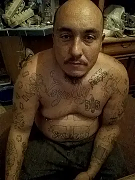 wilsons12 online show from 11-19-25, 05:29