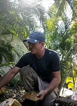 Snapshot of mexlog chatting on 10-31-25, 05:09 mexlog online show from 10-31-25, 05:09