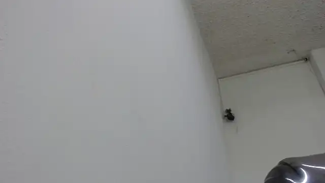 sexy lady 0 online show from 02-13-25, 08:34