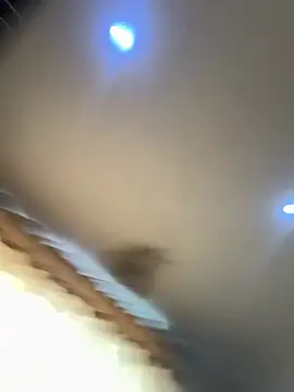 pawmistry online show from 02-11-26, 06:41