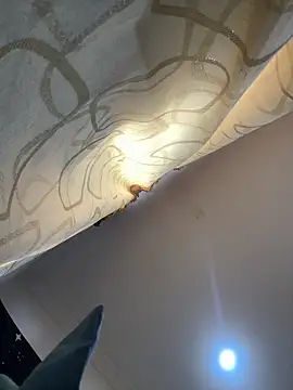 pawmistry online show from 12-16-25, 08:13