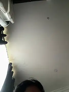 pawmistry online show from 05-26-26, 06:28
