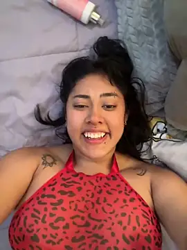 pawmistry online show from 04-08-26, 03:35