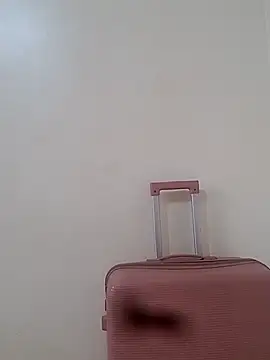 BriannaVincent online show from 12-17-25, 04:39