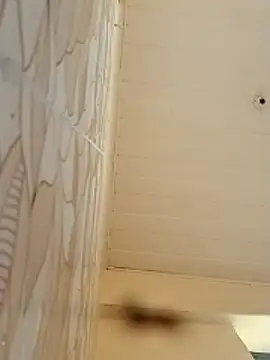 BriannaVincent online show from 11-20-25, 03:40