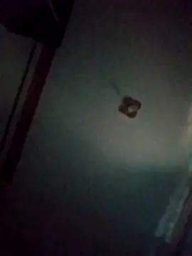 Snapshot of BriannaVincent chatting on 03-20-26, 04:35 BriannaVincent online show from 03-20-26, 04:35