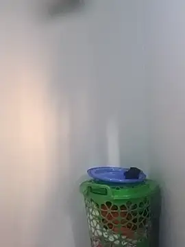 Snapshot of BriannaVincent chatting on 02-05-26, 04:41 BriannaVincent online show from 02-05-26, 04:41