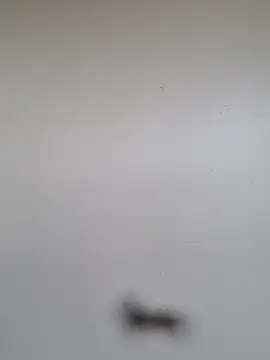 BriannaVincent online show from 01-07-26, 05:01