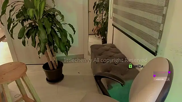  littlecherryy  online show from 12-21-25, 02:03