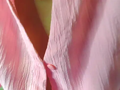 your Shanvi online show from 10-04-25, 07:59