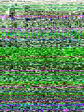 Shona5768 online show from 11-20-25, 08:48