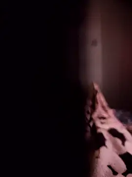 Maxpor77 online show from 01-09-26, 10:55