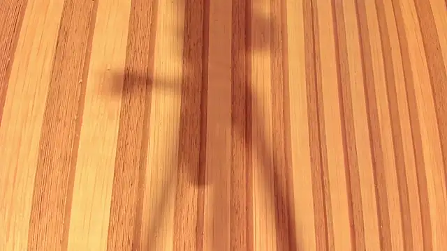 Daisy  rose online show from 02-22-25, 11:02